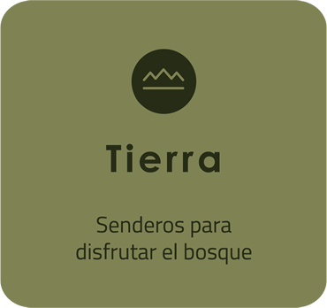 Elemento tierra
